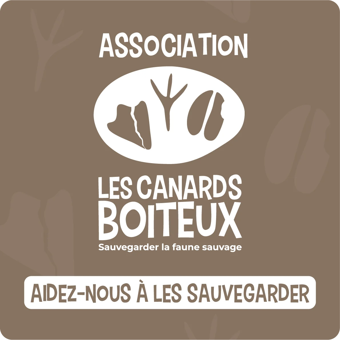 Recto du flyer de présentation des Canards Boiteux
